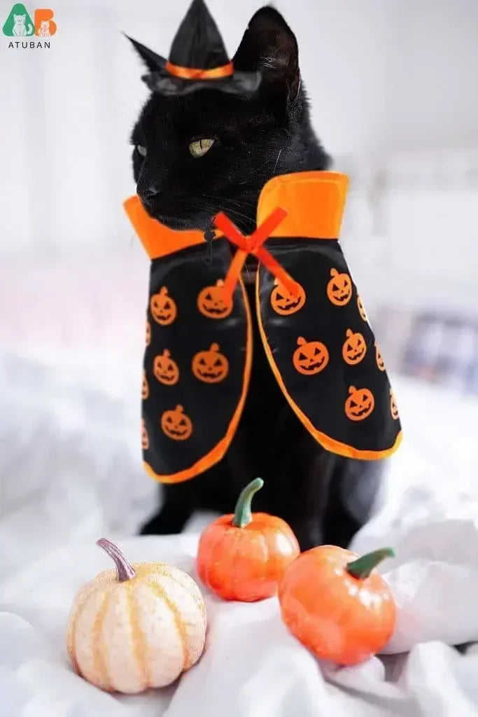 Cat Halloween Costume