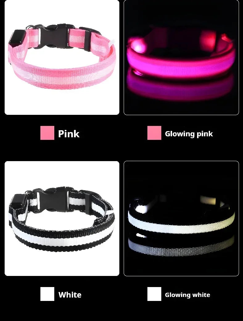 LED Light Up Dog Collar