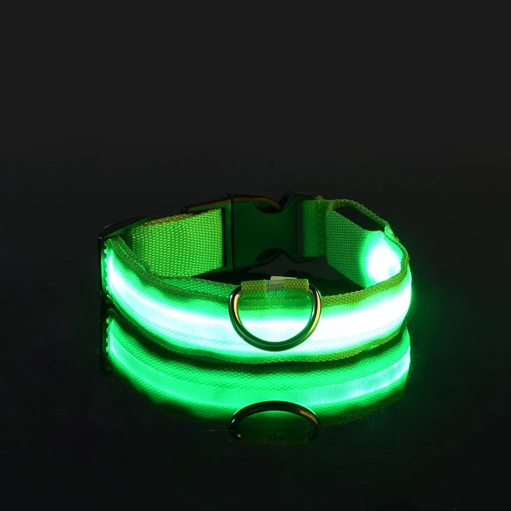 LED Light Up Dog Collar
