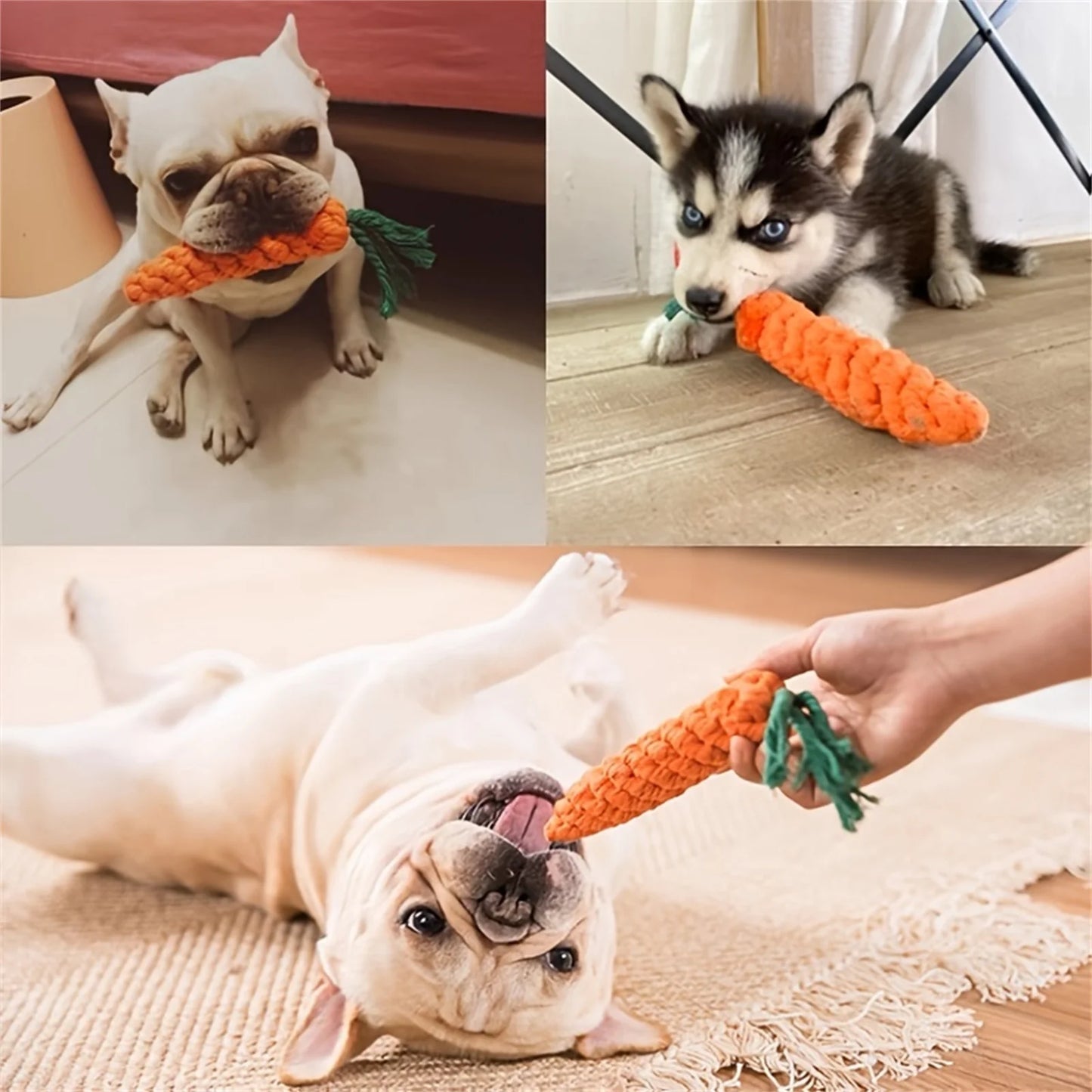 Carrot Dog toy