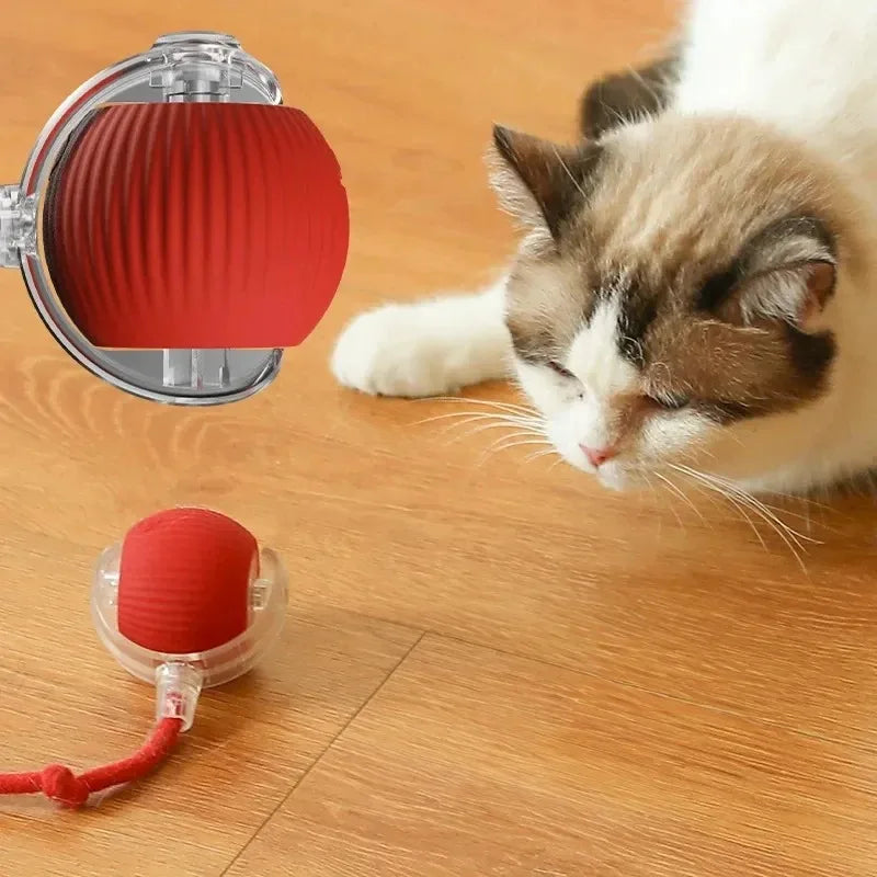 Smart Cat Toy