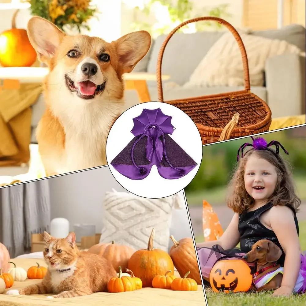 Pet Wizard Halloween Costume